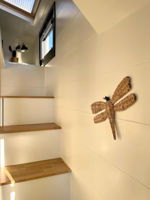 Tiny House With Sauna & Jacuzzi Near Amsterdam Vijfhuizen Eksteriør bilde